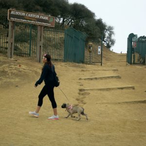 You've driven the dog 10 miles to Runyon Canyon for a hike (and spent 15 minutes looking for parking) instead of walking her around the block. 
