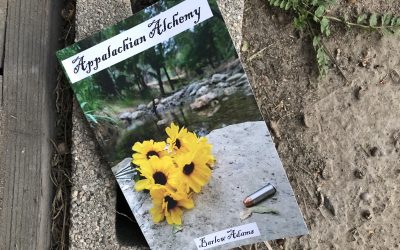 Book Review: Appalachian Alchemy by Barlow Adams
